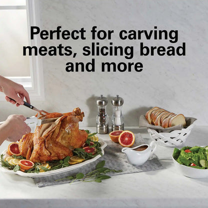 Electric Knife Set with Fork and Case