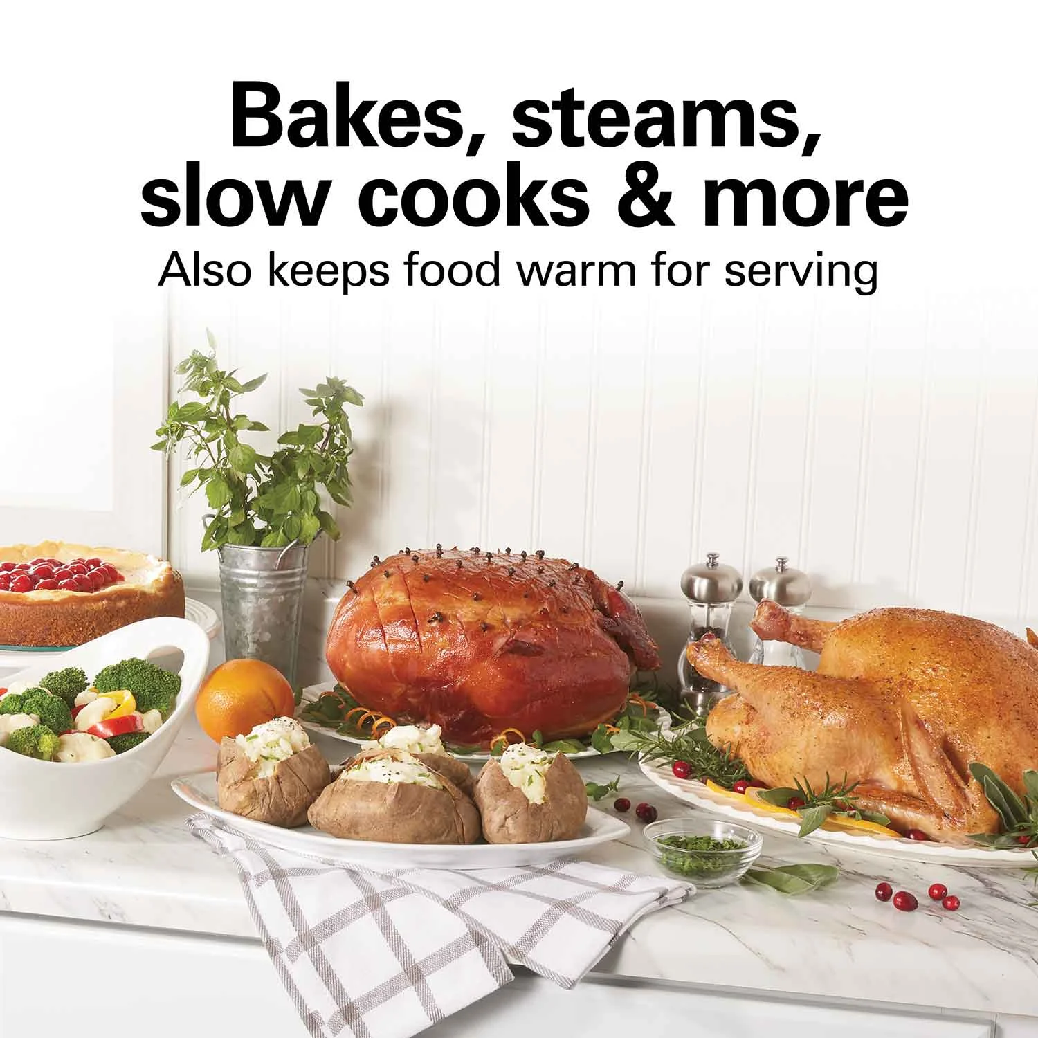 Electric Roaster Oven 22 Quarts, Stainless Steel - Image 3