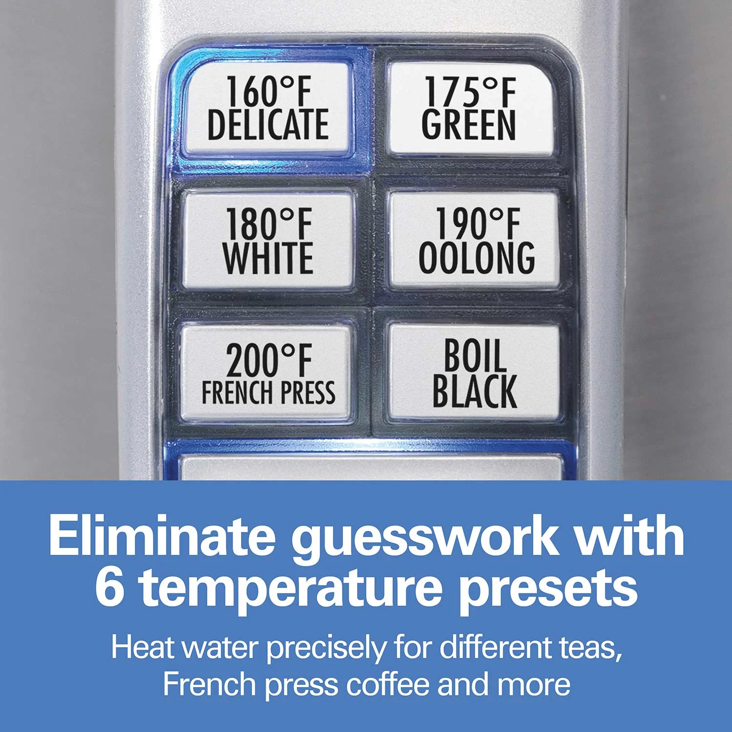 Alternative view of Variable Temperature Electric Kettle, Stainless Steel