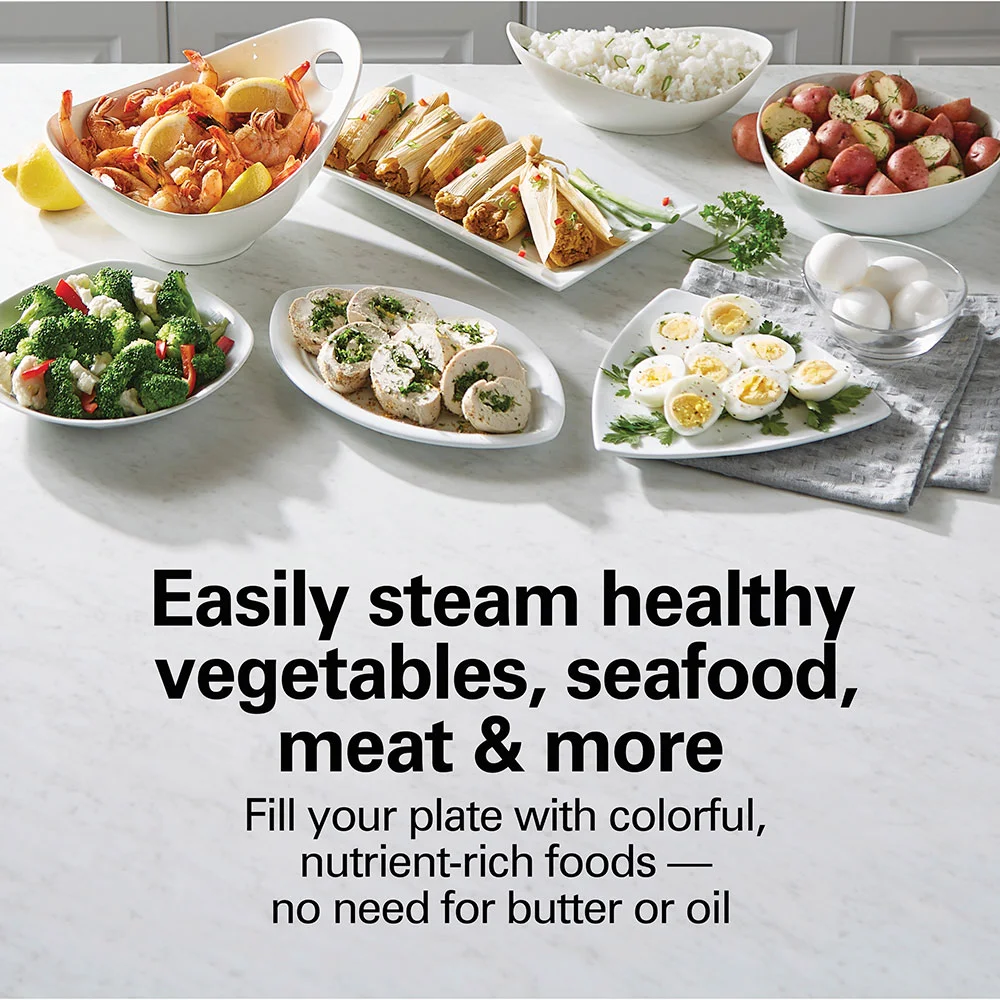 Alternative view of 2-Tier Digital Food Steamer